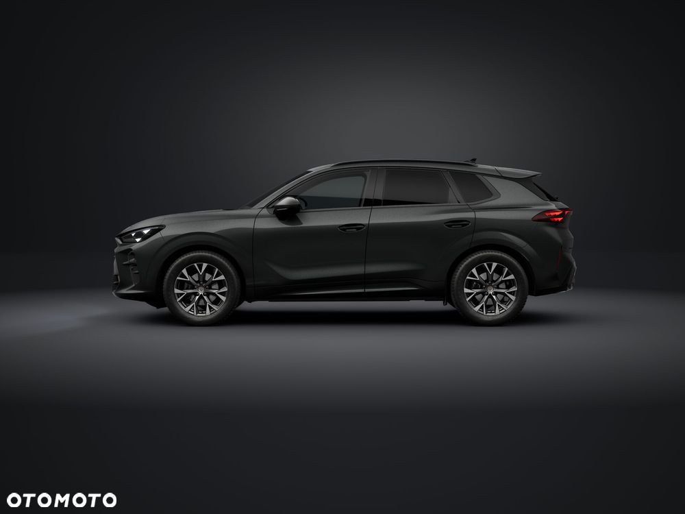 Cupra Terramar - 2