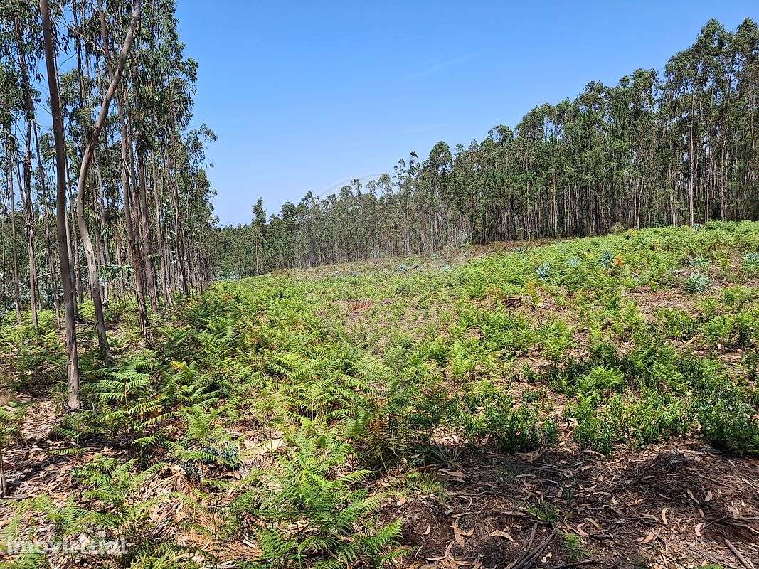 Terreno  para venda - Grande imagem: 4/4