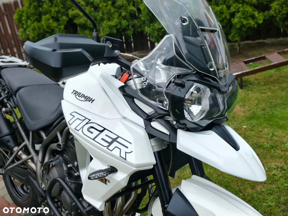 Triumph Tiger - 13