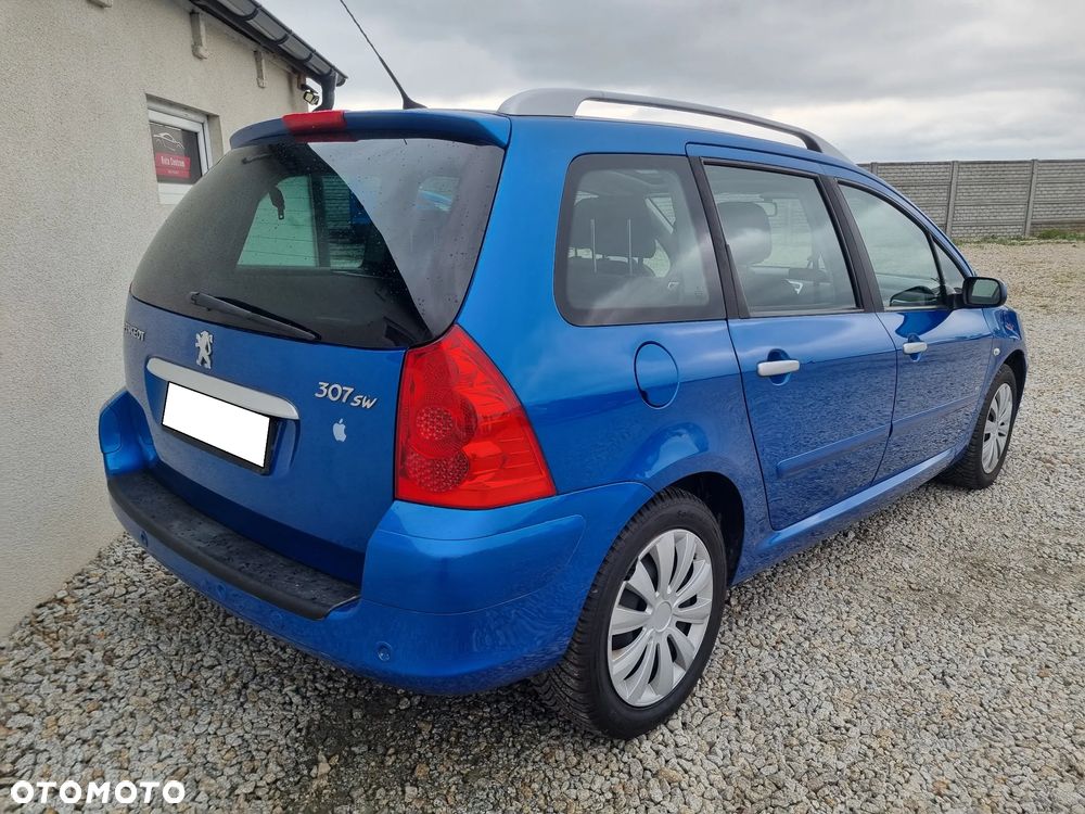 Peugeot 307 - 5
