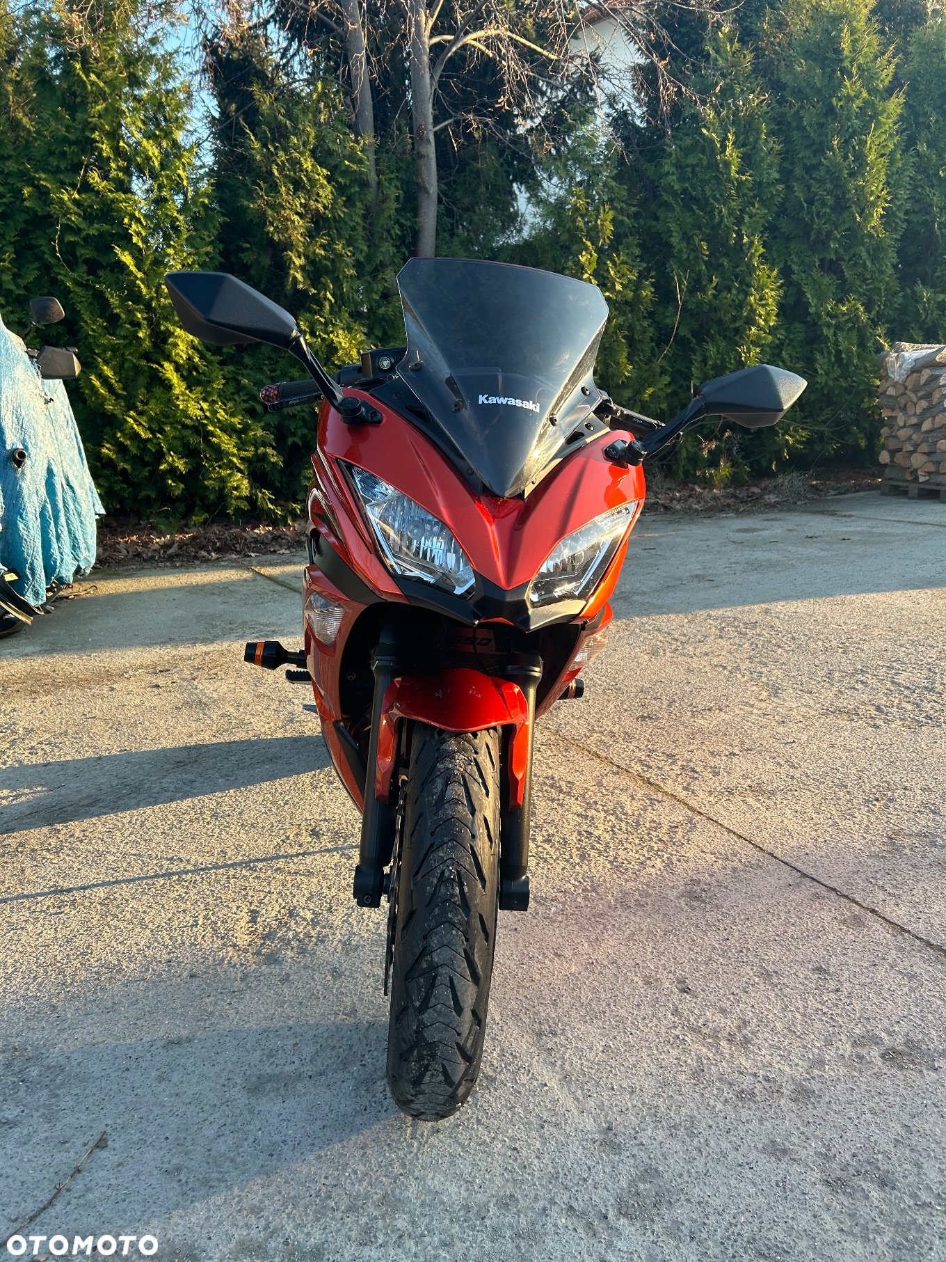 Kawasaki Ninja - 2