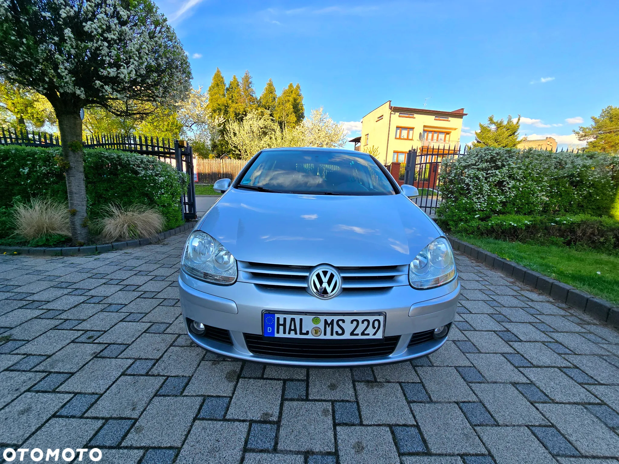 Volkswagen Golf - 8