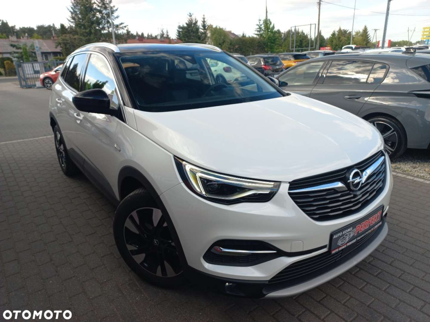 Opel Grandland X - 4