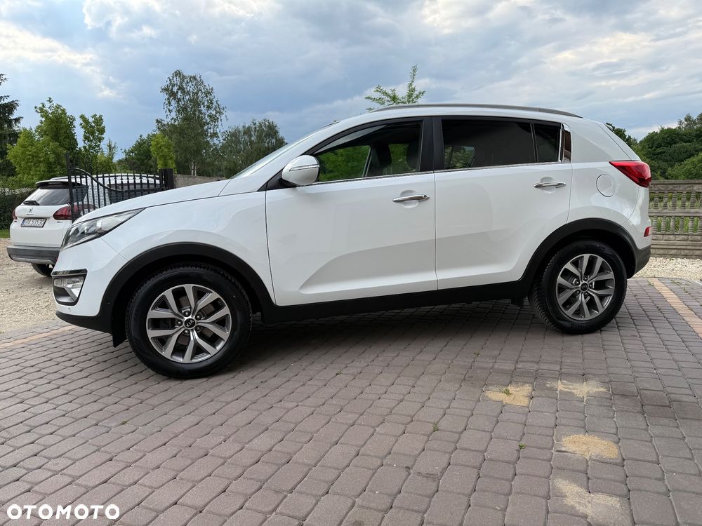 Kia Sportage 1.6 GDI Business Line L 2WD - 30