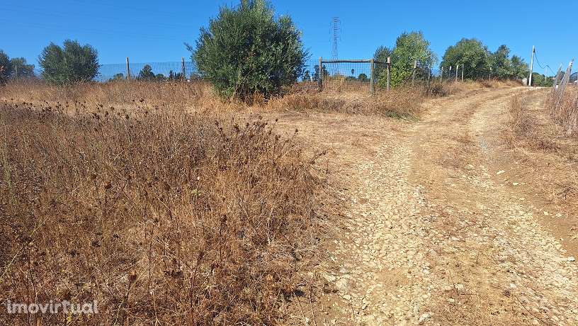 Terreno, 4 040 m², Pontével - Grande imagem: 5/5