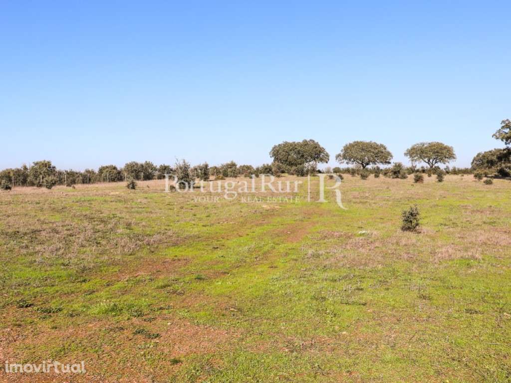 Quinta de 7,5 ha em Cabeça de Carneiro, Alandroal - Grande imagem: 5/10