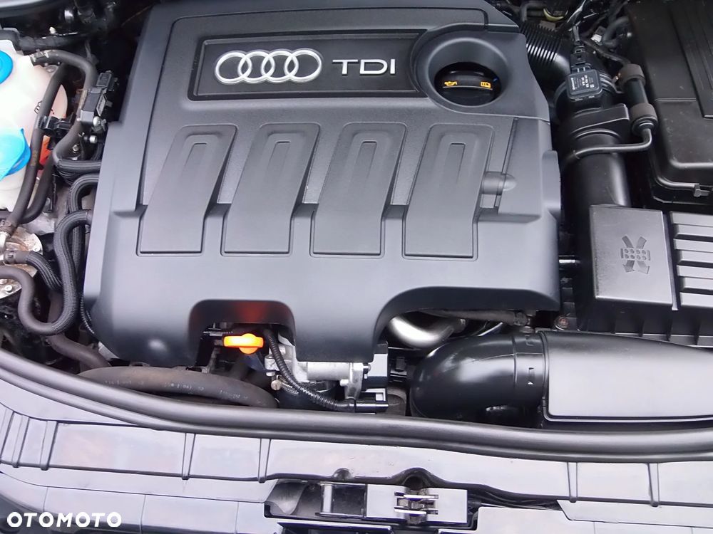 Audi A3 Sportback 1.6 TDI DPF Attraction - 10