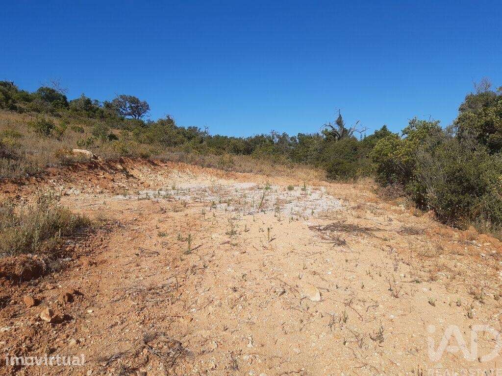 Terreno Agrícola em Paderne - Grande imagem: 4/8