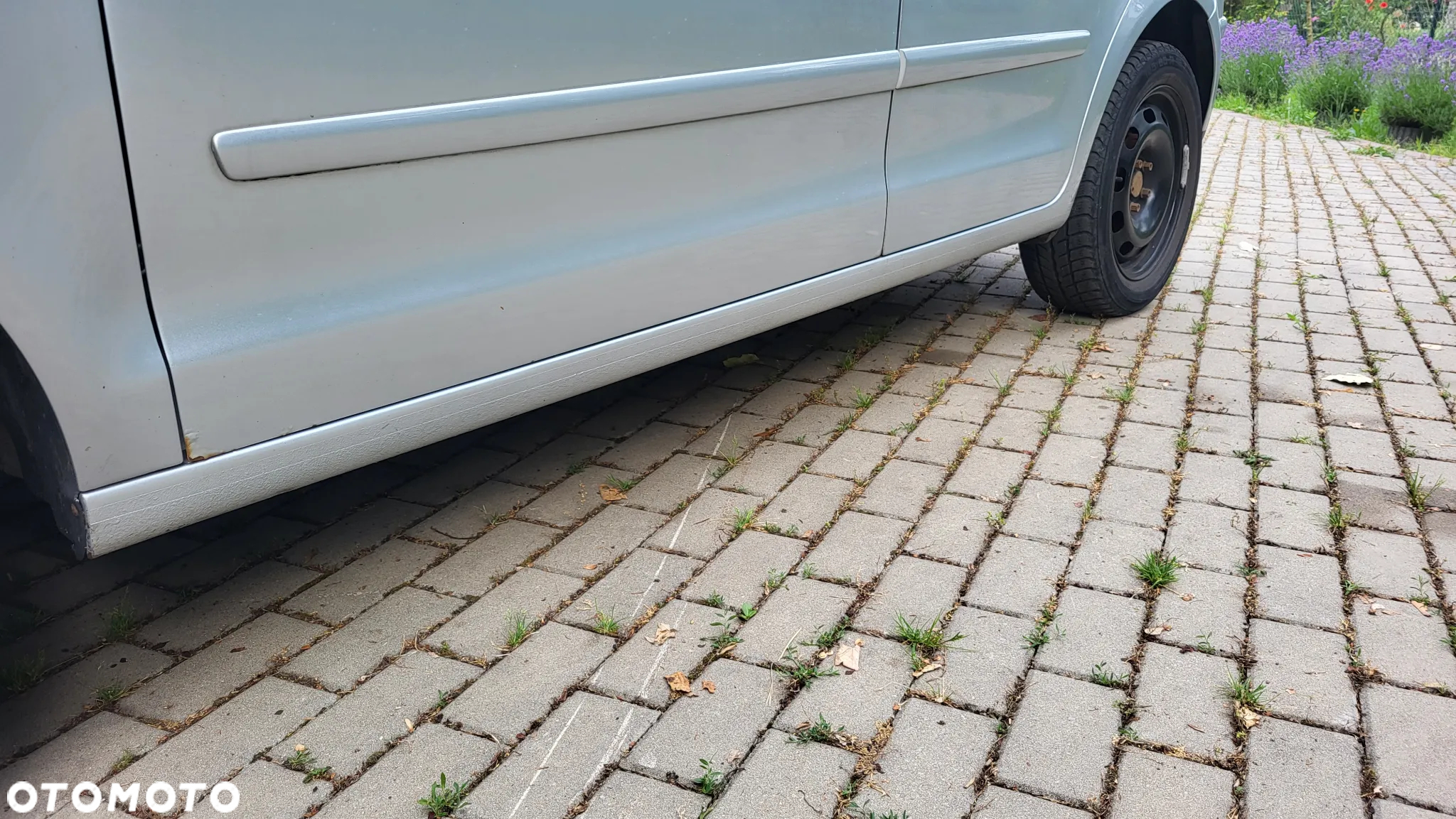 Volkswagen Polo - 6