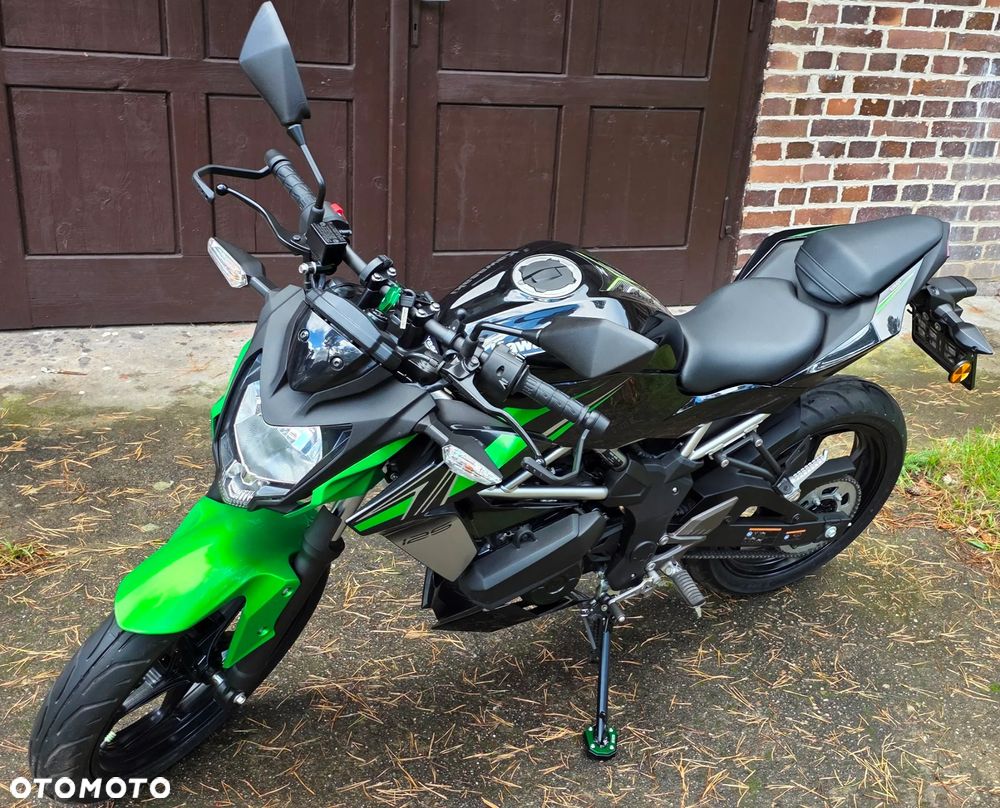 Kawasaki Z - 14