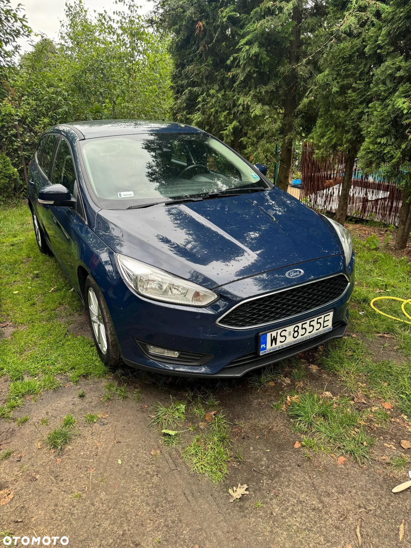 Ford Focus - 1