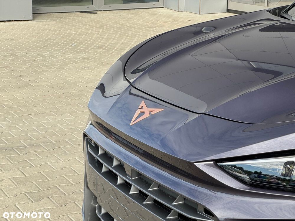 Cupra Terramar - 5