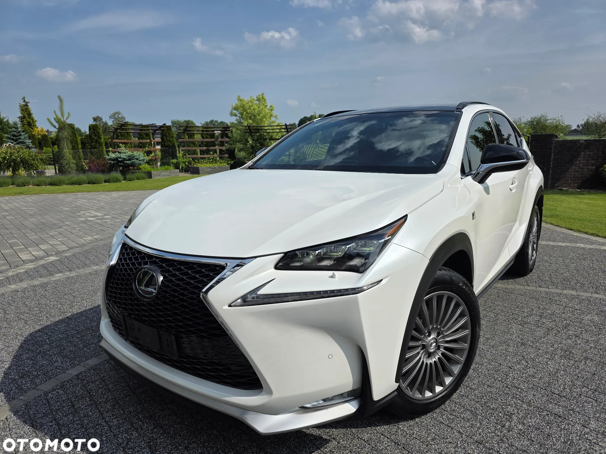 Lexus NX 300h E-FOUR F SPORT - 9