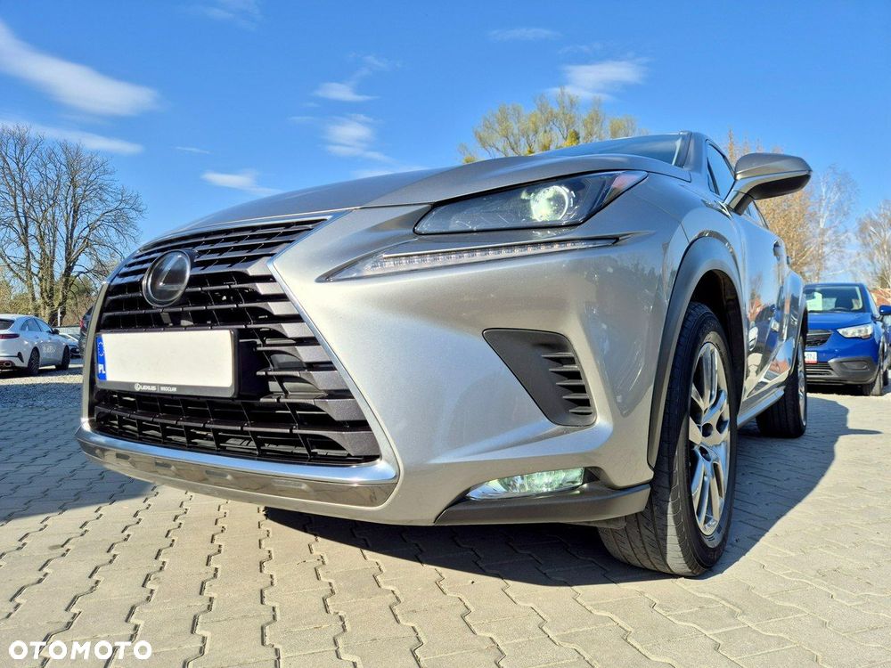 Lexus NX - 12