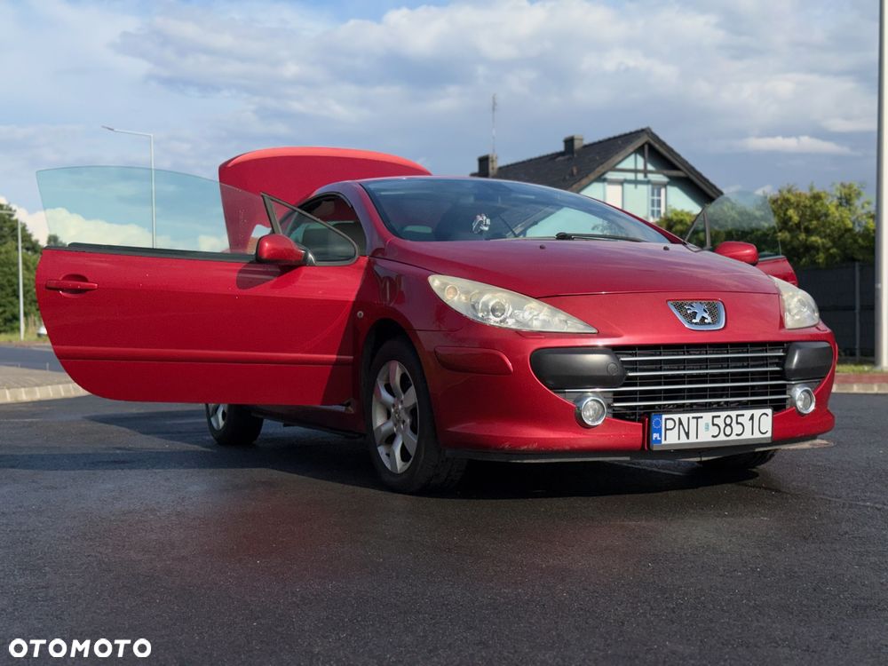 Peugeot 307 - 15