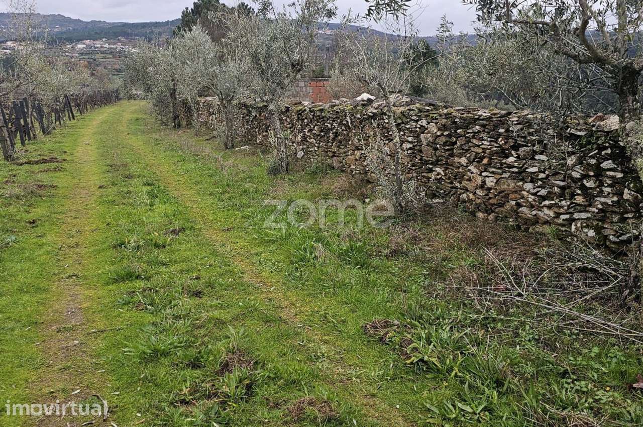 Terreno Agrícola – 30700 m² – Vilar de Maçada, Alijó - Grande imagem: 2/15
