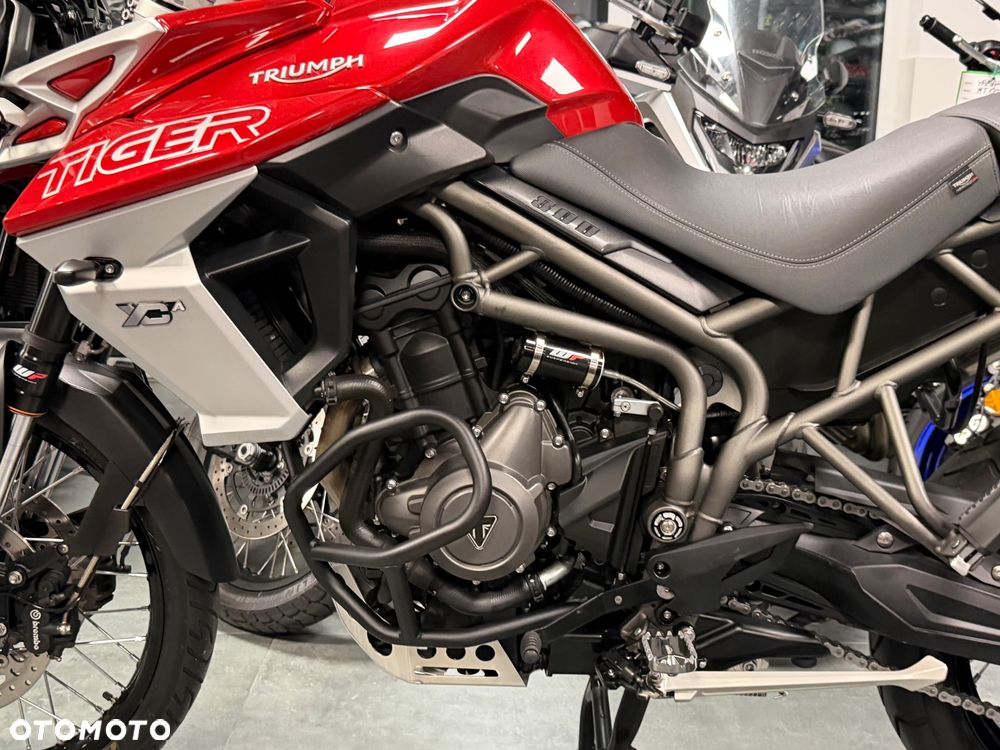 Triumph Tiger - 32