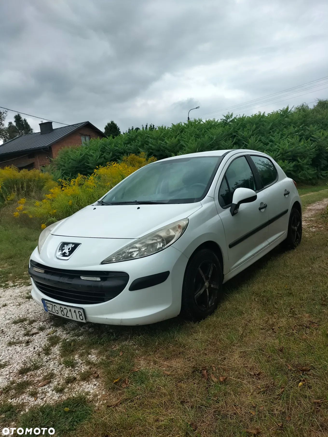 Peugeot 207 - 1