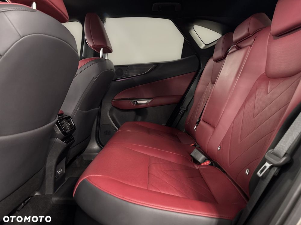 Lexus NX - 10
