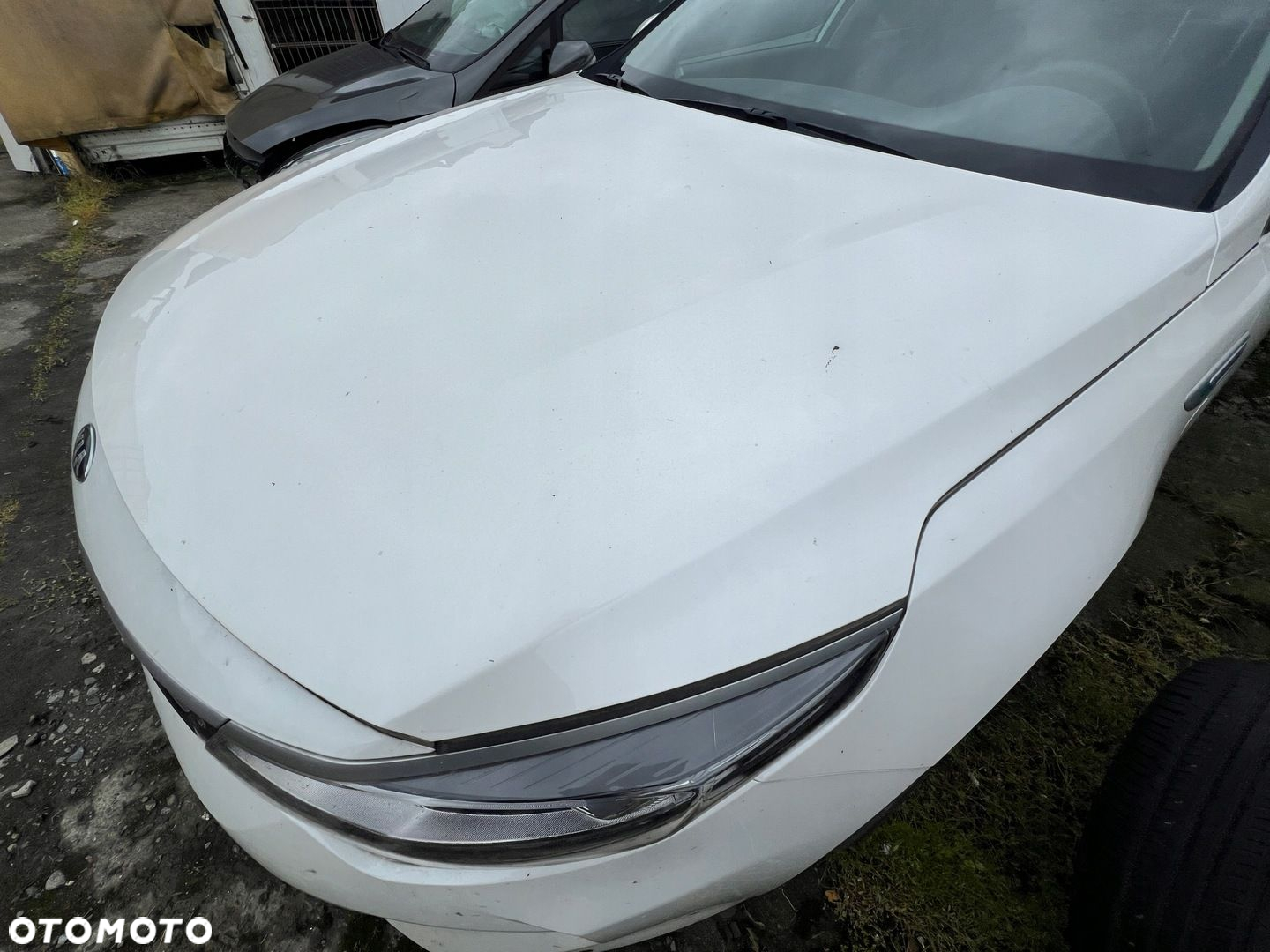 KIA OPTIMA IV KOMBI HYBRID 17-19 MASKA POKRYWA SILNIKA KOLOR SWP - 3
