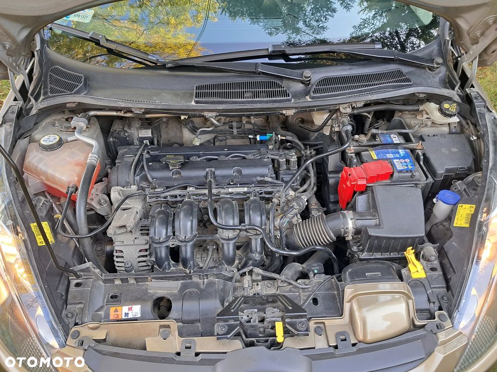 Ford Fiesta 1.25 Ghia - 15