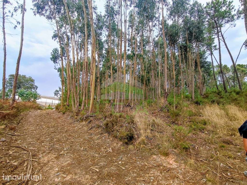 Terreno de construção na zona da Caranguejeira - Grande imagem: 4/4