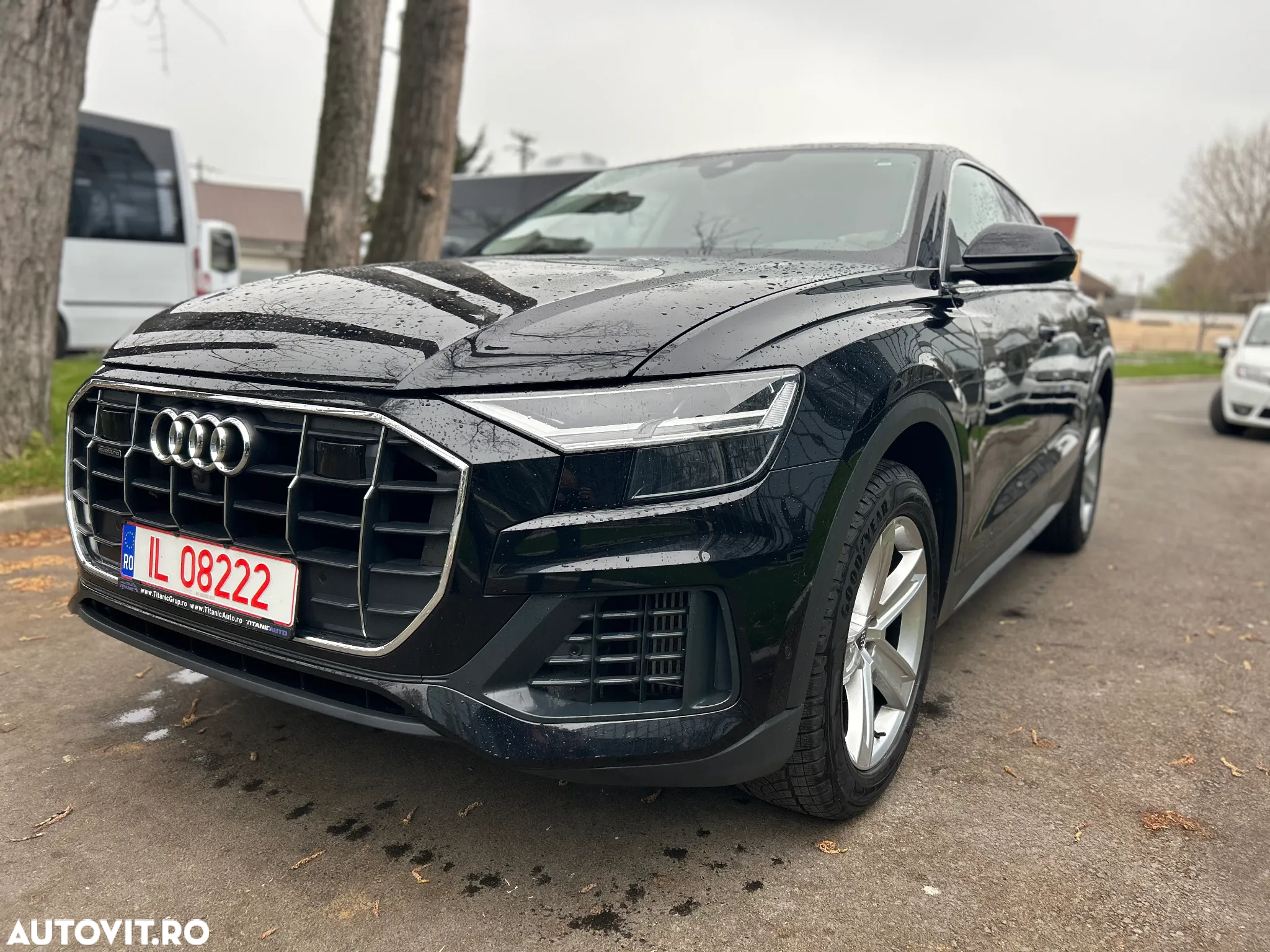 Audi Q8 3.0 55 TFSI quattro Tiptronic MHEV - 2