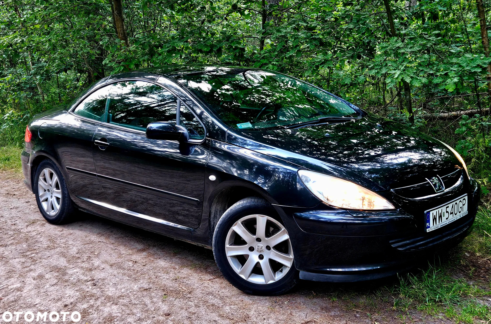 Peugeot 307 CC - 16