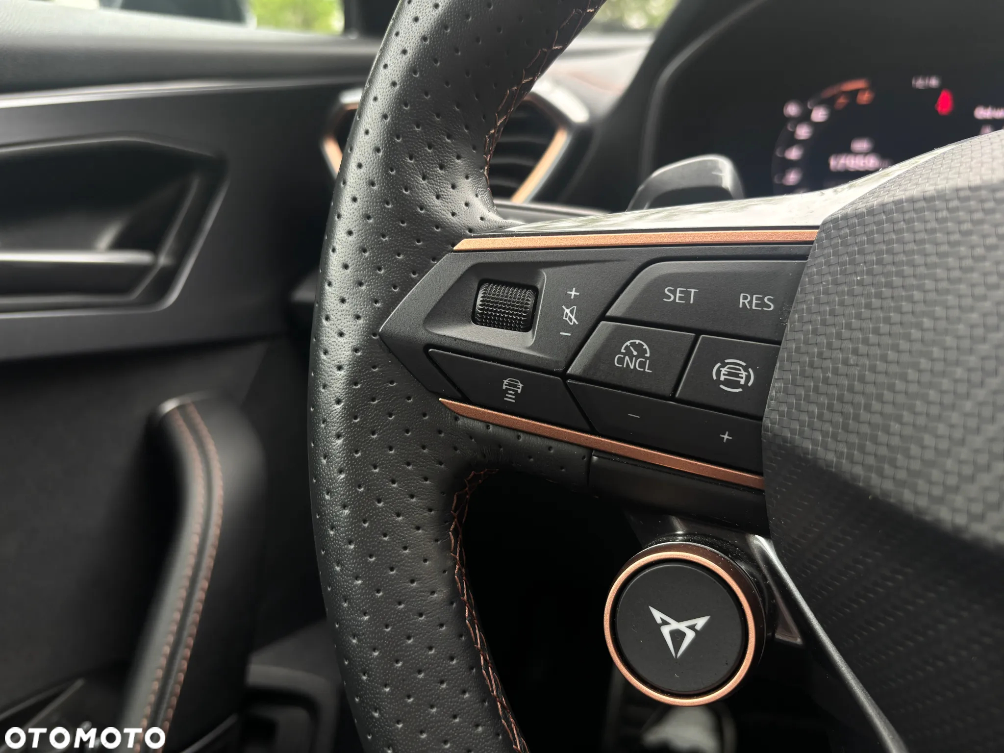 Cupra Formentor 1.5 TSI DSG - 14
