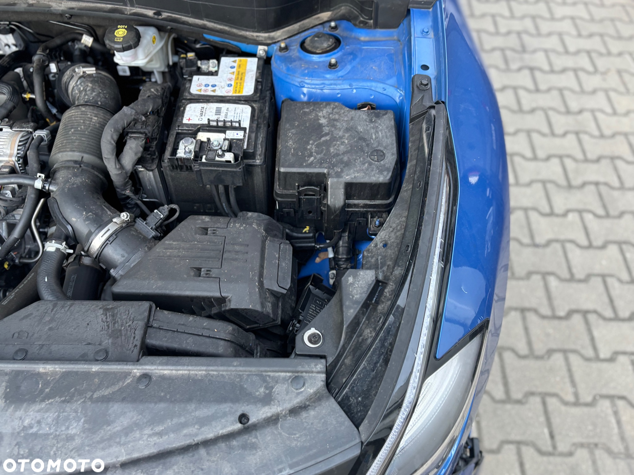 Kia Sportage - 19