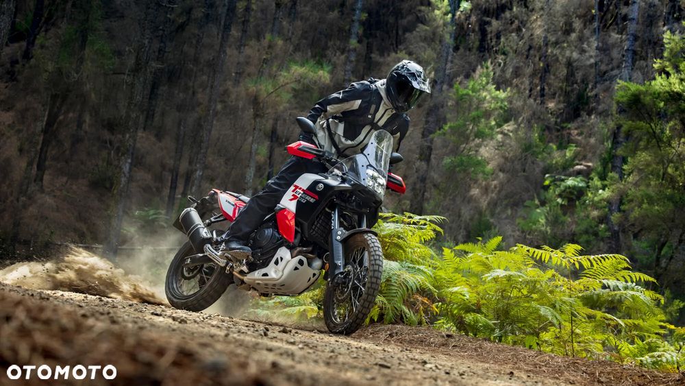 Yamaha Tenere - 11