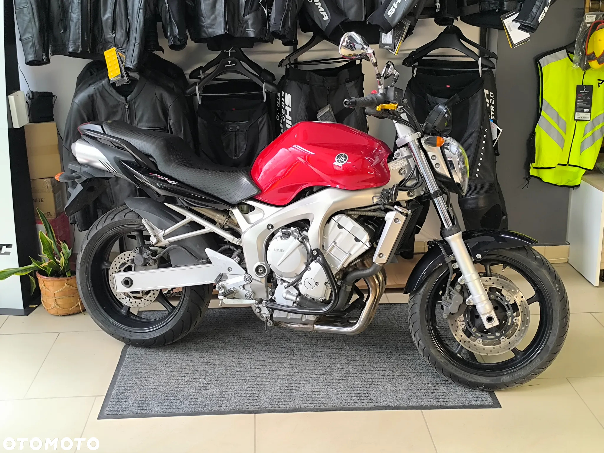 Yamaha FZ6 - 9