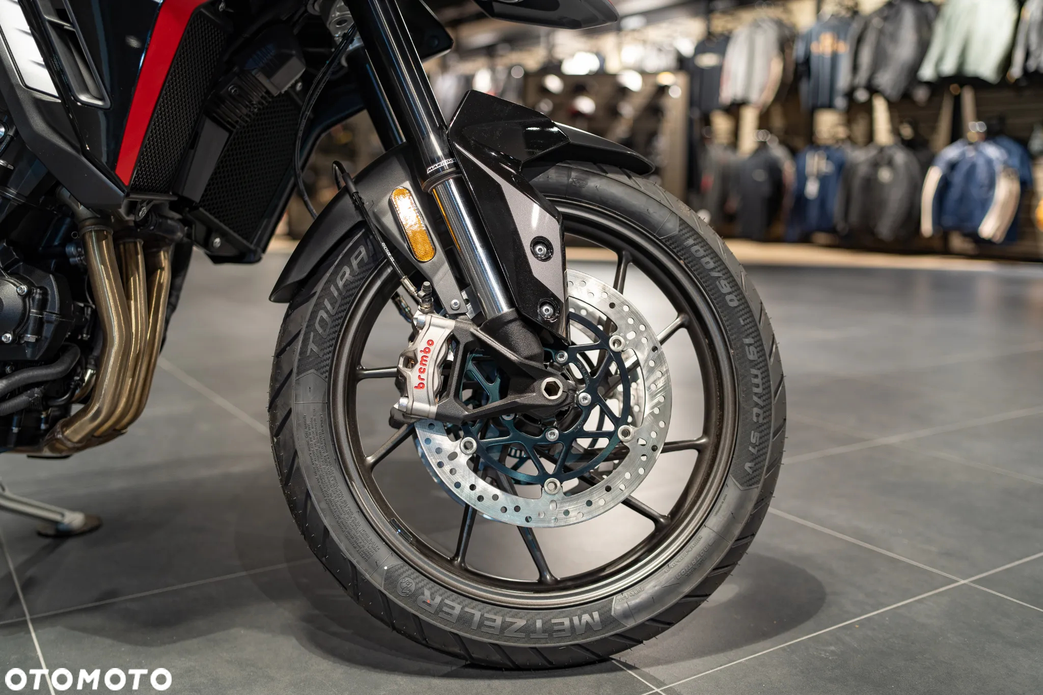 Triumph Tiger - 13
