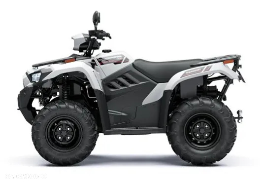 Kawasaki Brute Force - 5