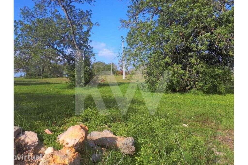 Terreno Rústico com 20.050m2 sito em Alpouvar, Albufeira. - Grande imagem: 3/9