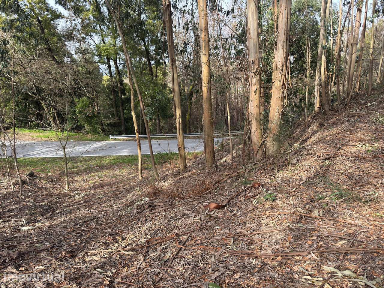 Terreno  em Quinchães, Fafe - Grande imagem: 2/12