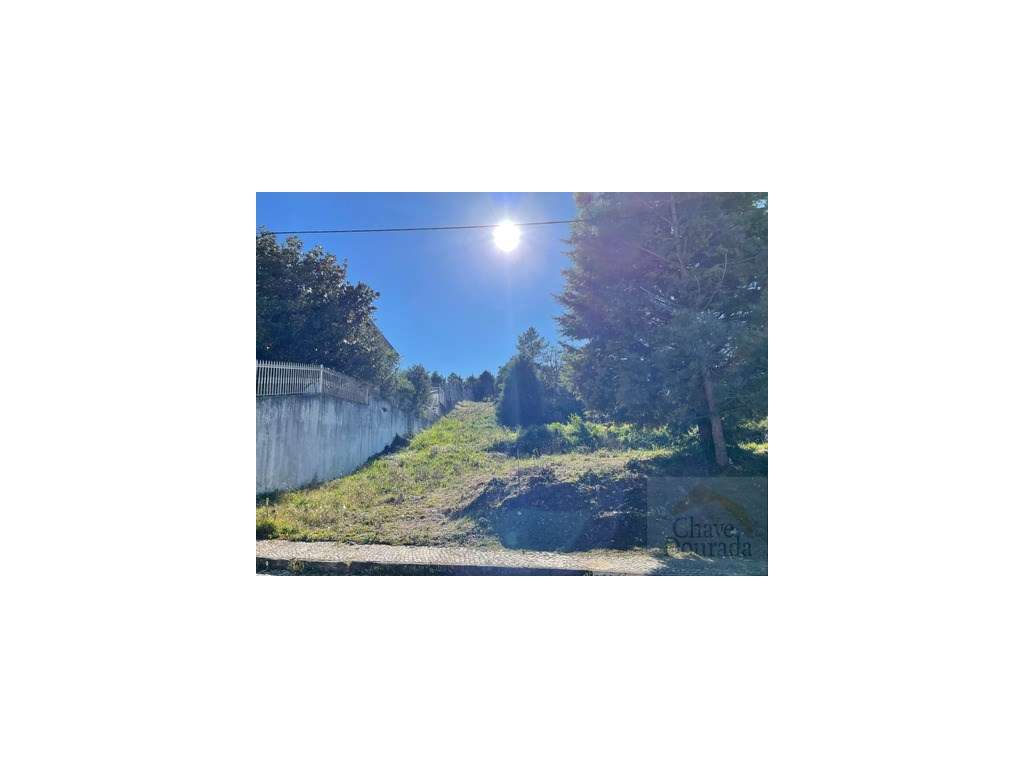 Lote de terreno com vistas para a cidade - Carvalhais - Grande imagem: 2/9