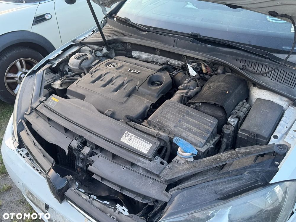 Volkswagen Golf 1.6 TDI BlueMotion Technology DSG Cup - 14