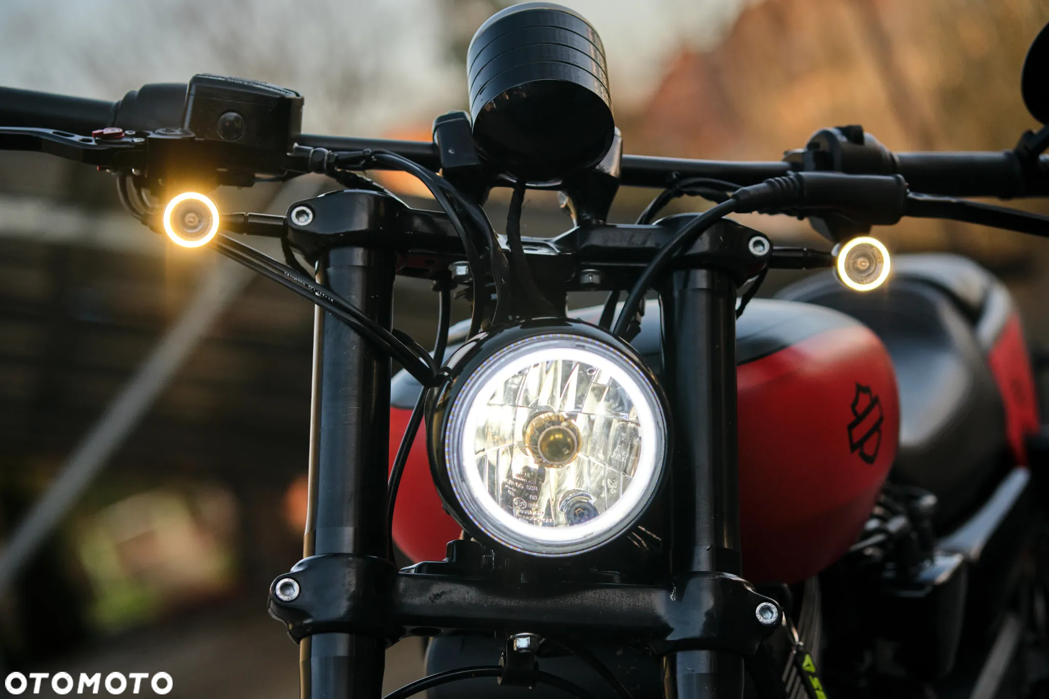 Harley-Davidson Street Rod XG 750A - 3