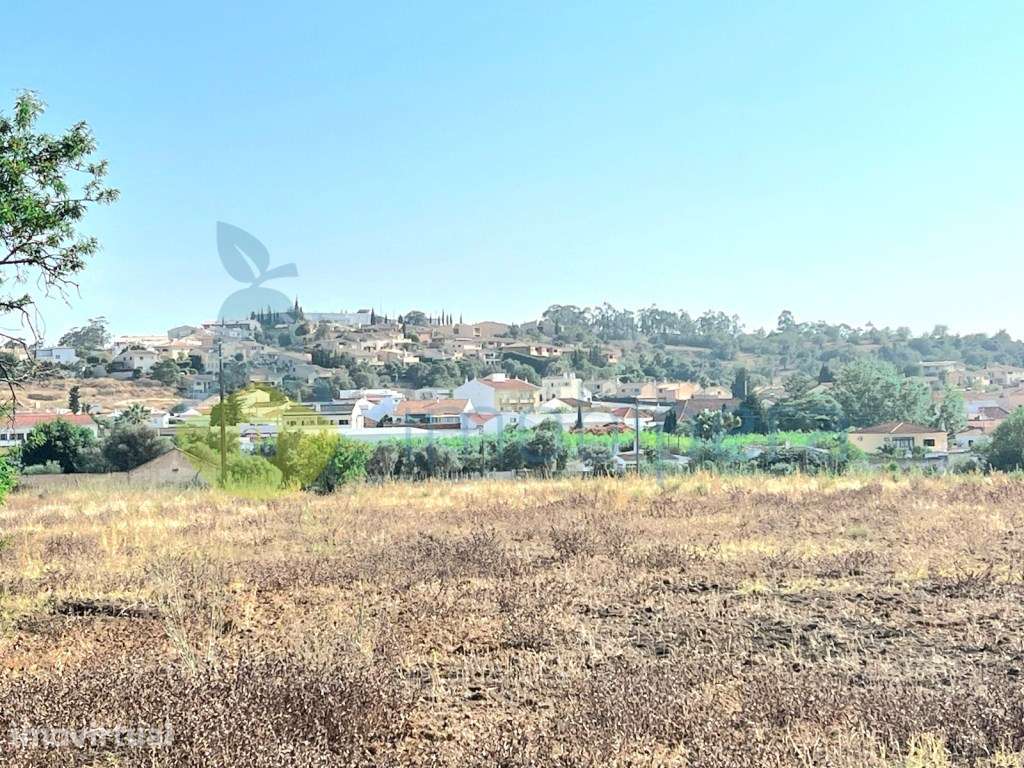 Terreno plano em zona rural, em Algoz, para agricultura e afins. - Grande imagem: 3/12
