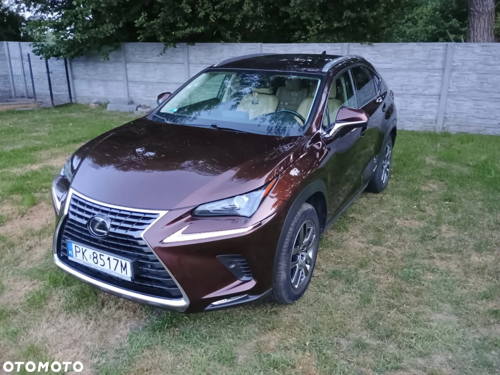 Lexus NX 300h Elegance AWD - 8