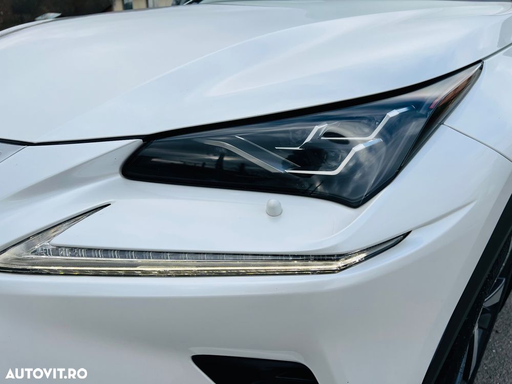 Lexus Seria NX 300h AWD Executive Plus - 7