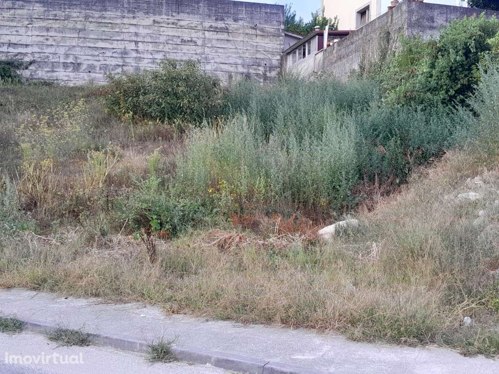 Terreno para construção - Ponte da Barca - Grande imagem: 3/4