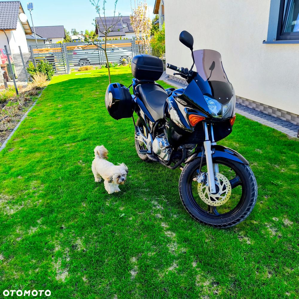 Honda Varadero - 3