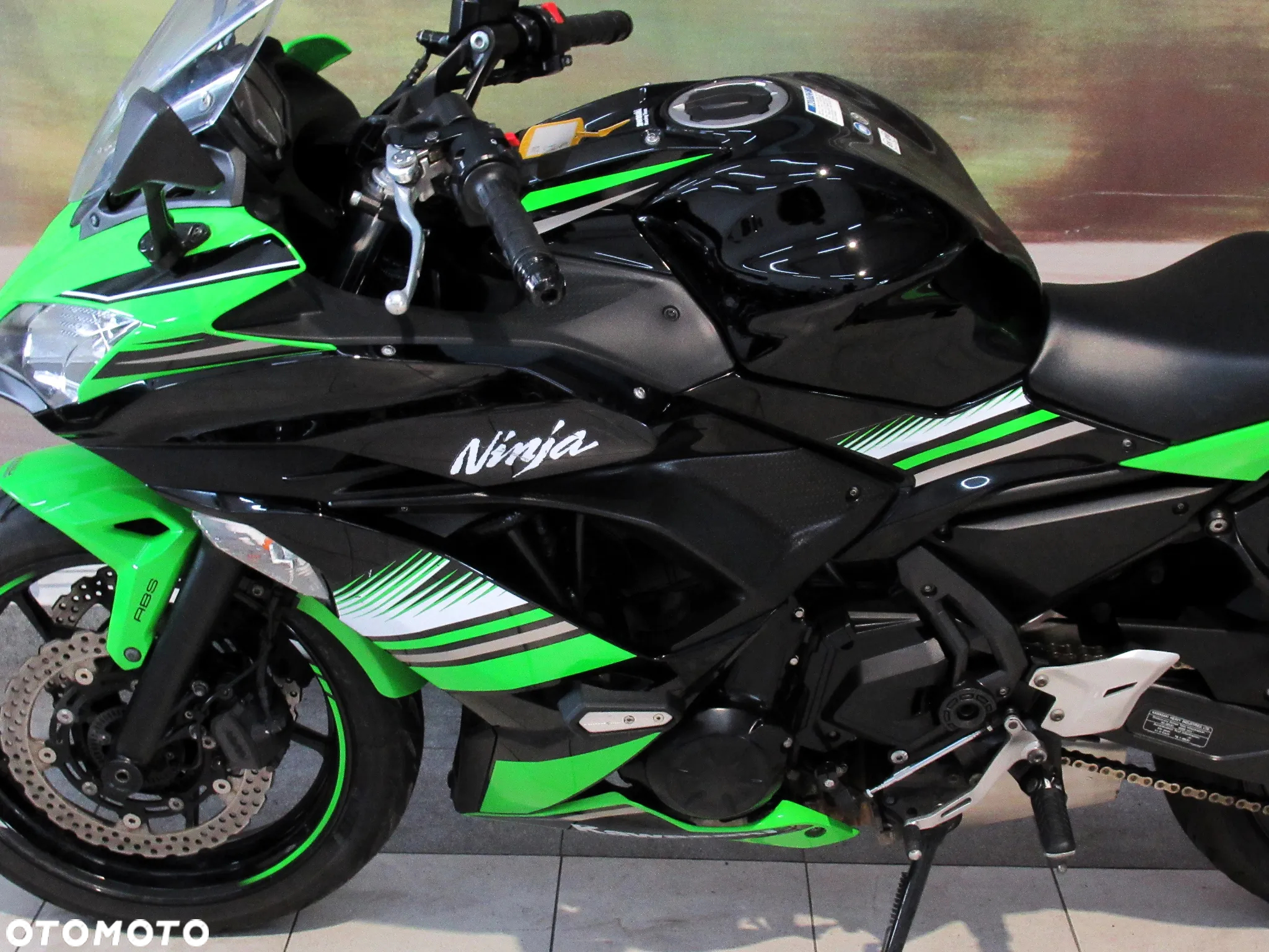 Kawasaki Ninja - 12