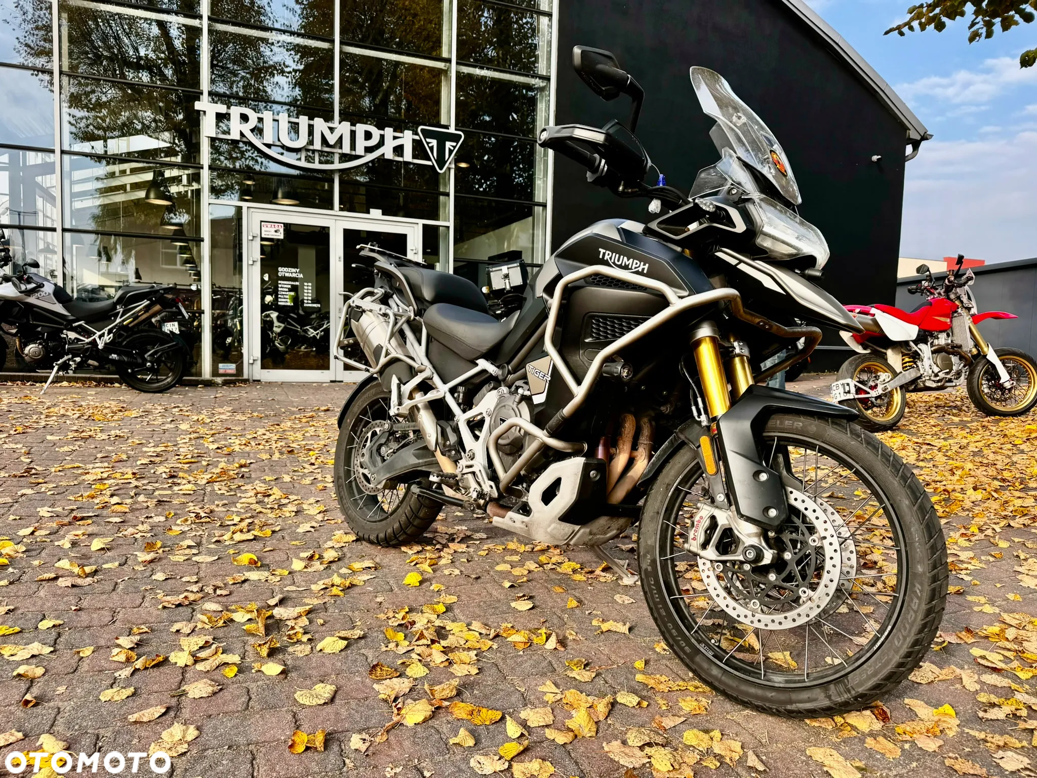 Triumph Tiger - 10