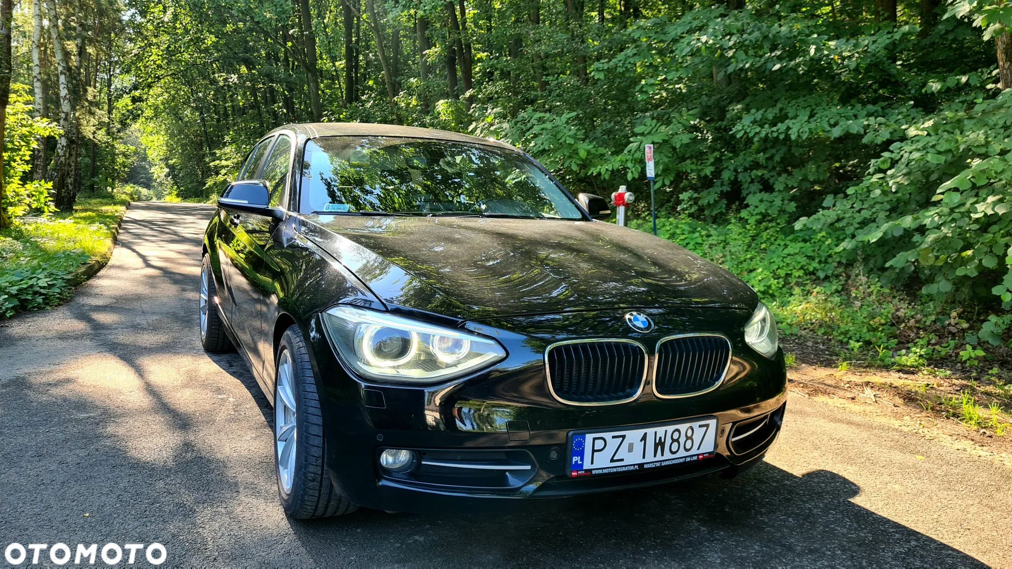 BMW Seria 1 116i - 1
