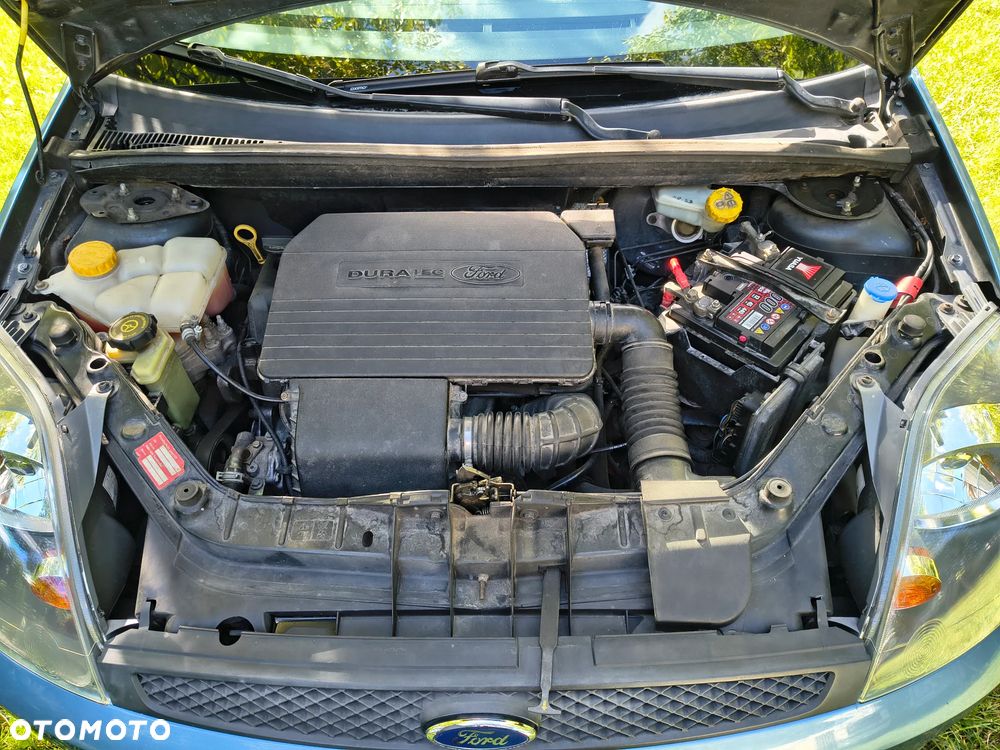 Ford Fiesta - 10
