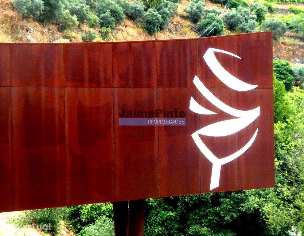 Quinta 10ha de Vinho do Porto e DOC, Pinhão. Portugal, Douro. - Grande imagem: 2/9