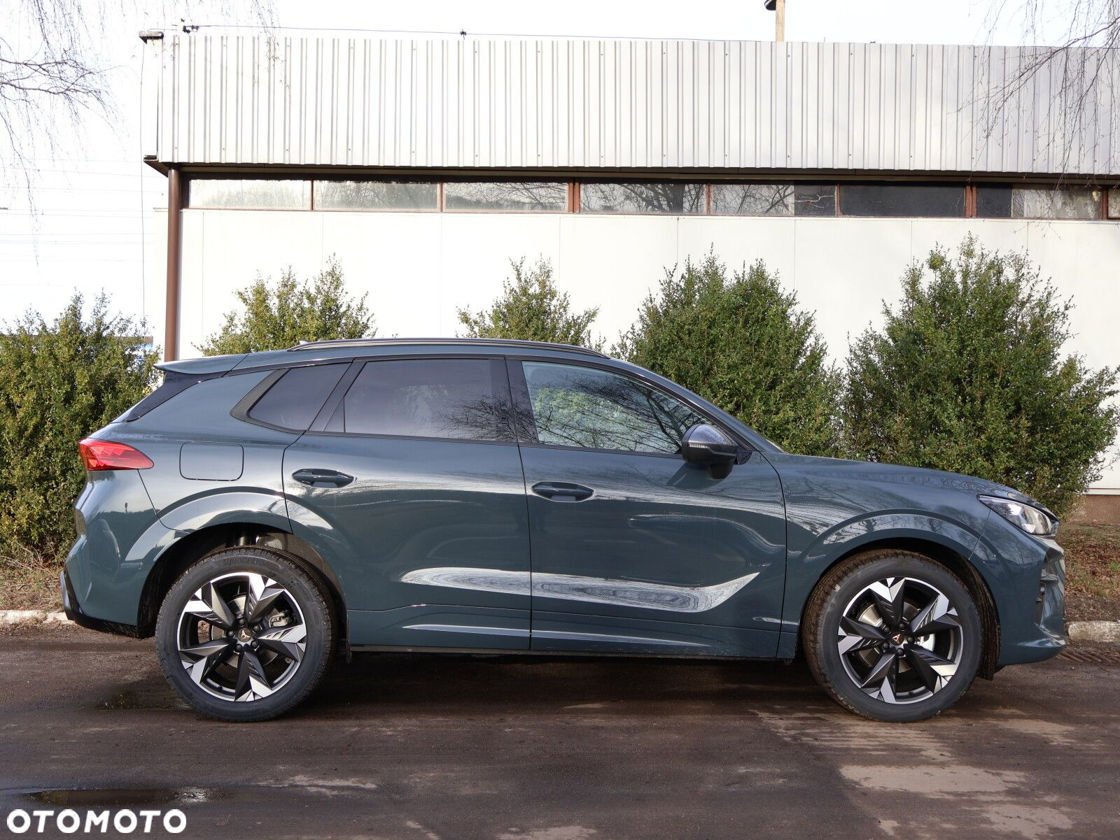 Cupra Terramar 1.5 eTSI mHEV DSG - 19